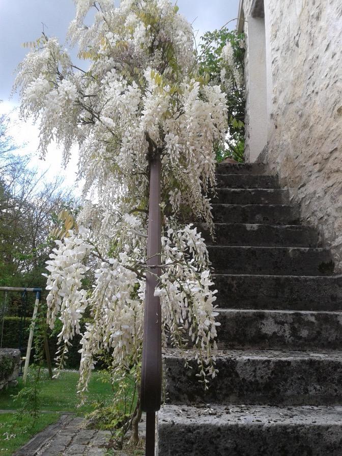 5 Rue des Cahuttes, 60300 Fontaine-Chaalis, France -2