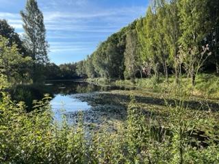 Fontmorte, 414 Chem. de Fontmorte, 16320 Rougnac, France -6