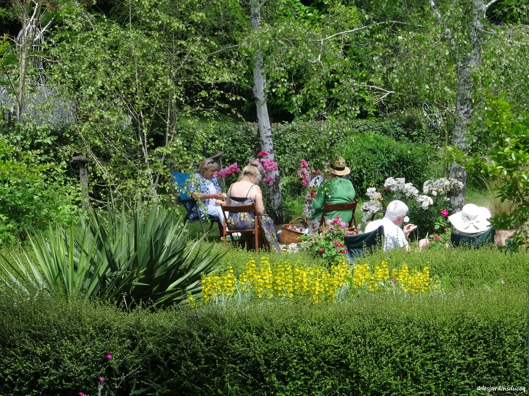 Les jardins du Coq, 16390 Montignac-le-Coq -4