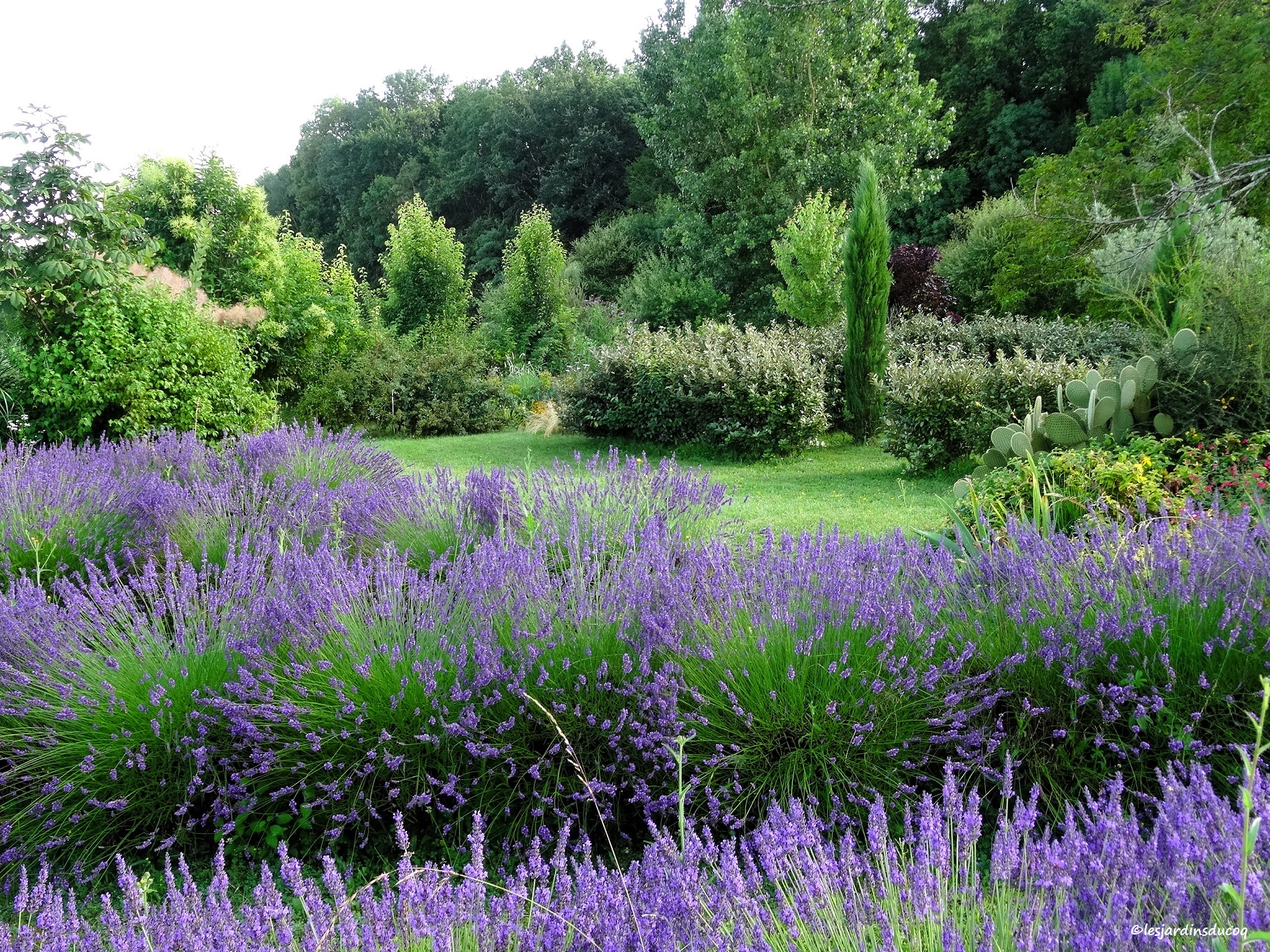 Les jardins du Coq, 16390 Montignac-le-Coq -3