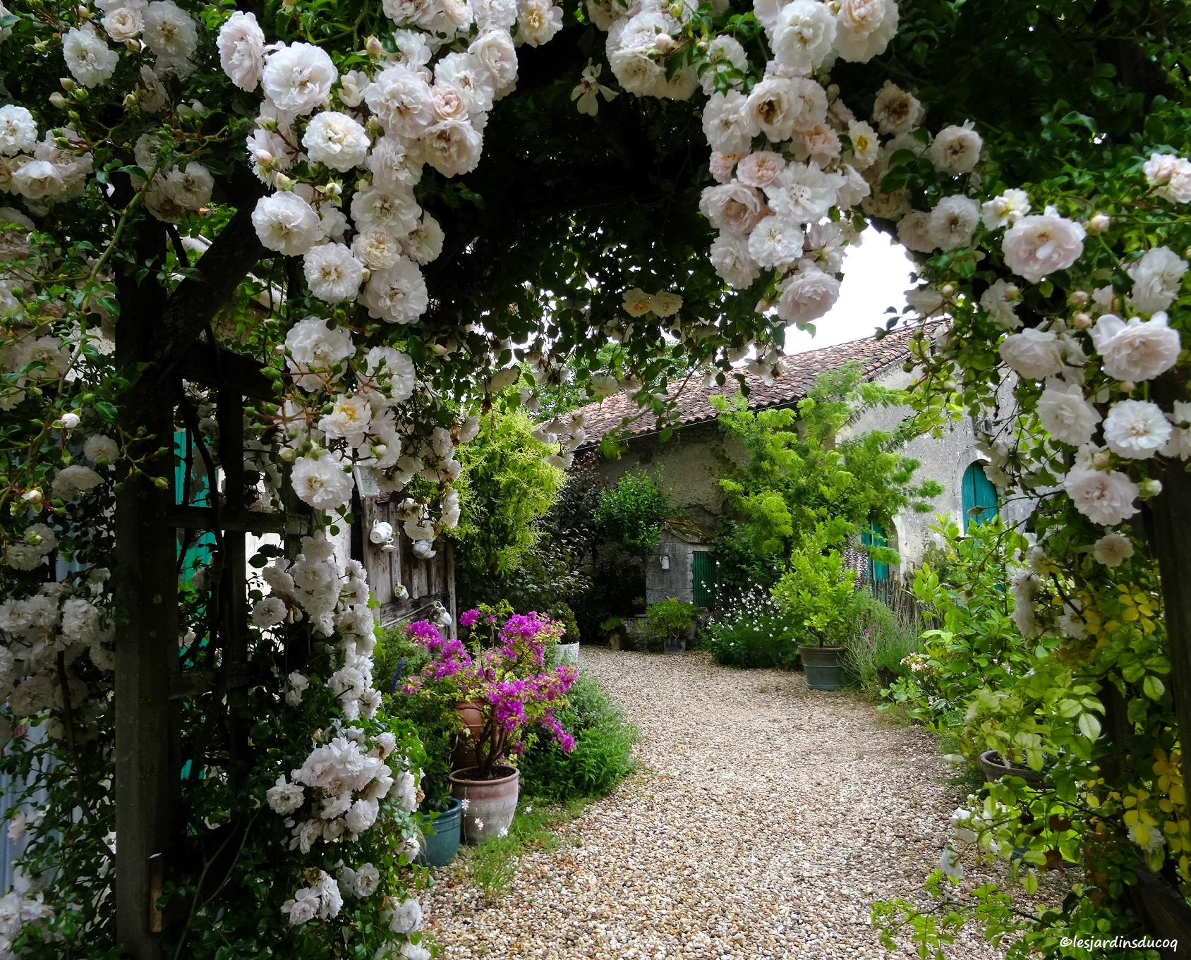 Les jardins du Coq, 16390 Montignac-le-Coq -7