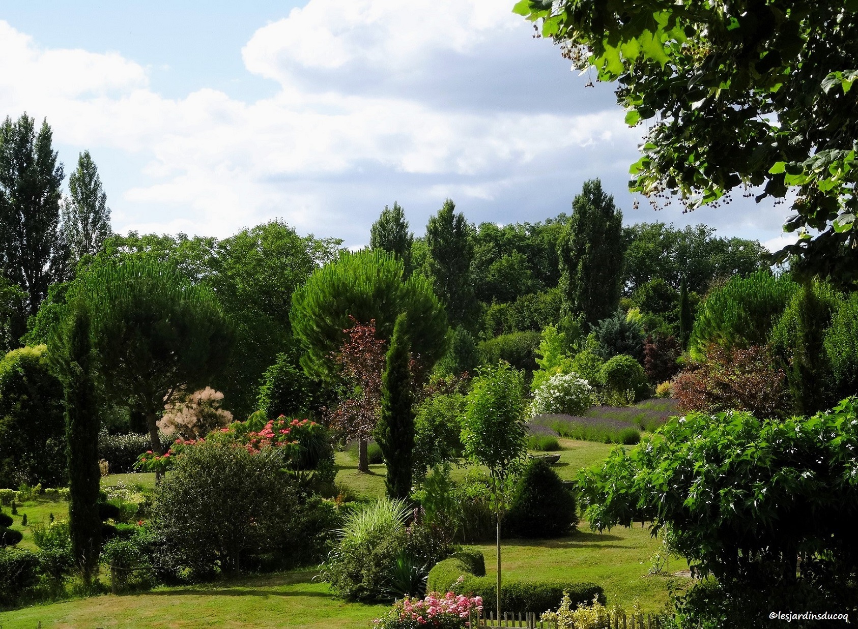Les jardins du Coq, 16390 Montignac-le-Coq -1