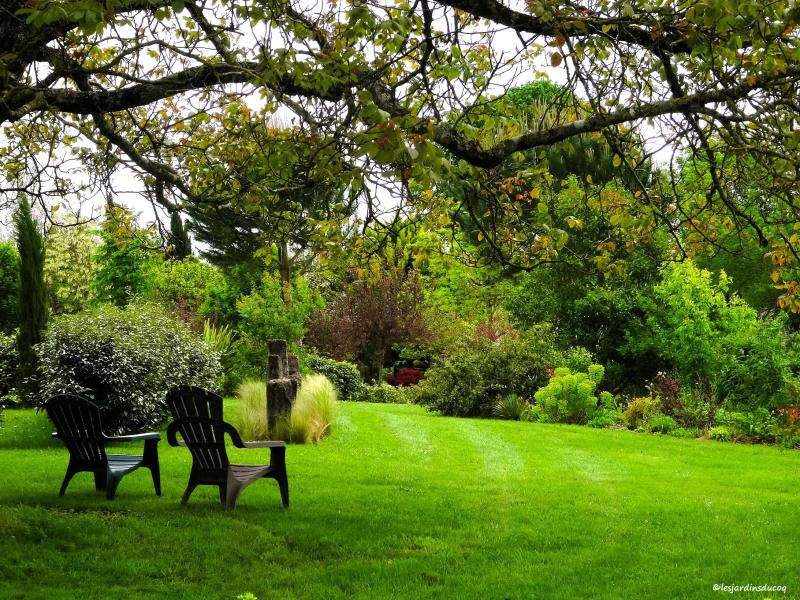 Les jardins du Coq, 16390 Montignac-le-Coq -2