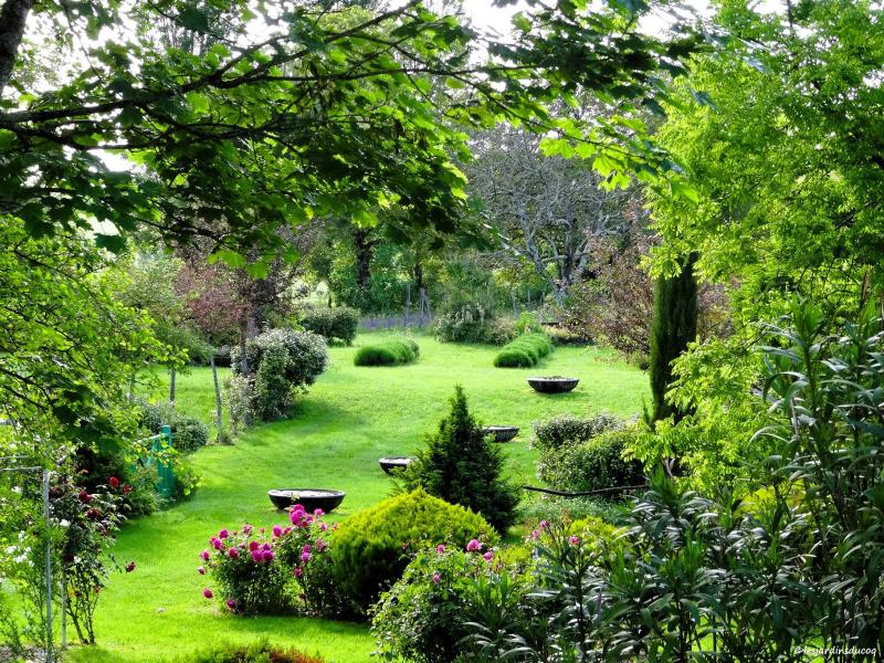 Les jardins du Coq, 16390 Montignac-le-Coq -8