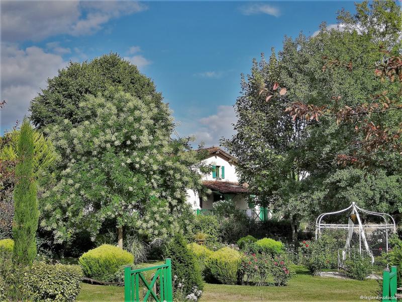 Les jardins du Coq, 16390 Montignac-le-Coq -9