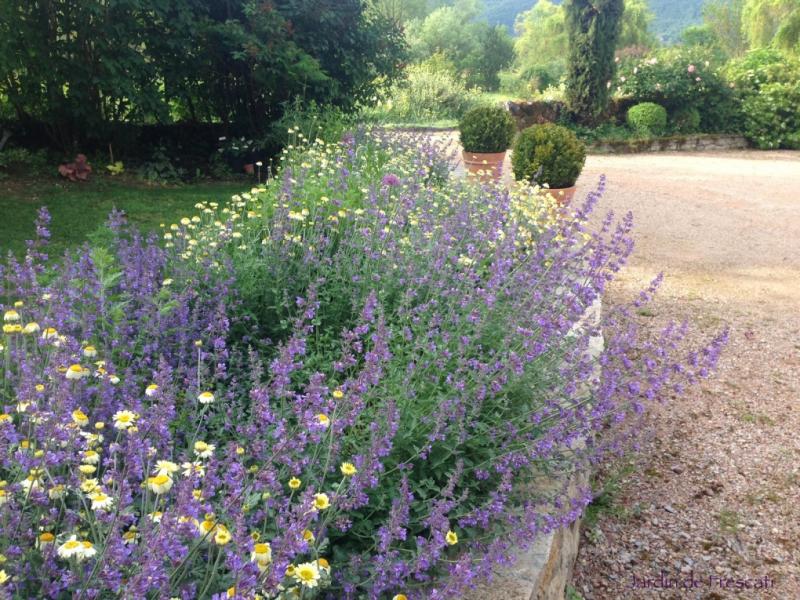 Le Jardin de Frescati,  Le Bourg, 46160 Frontenac -8