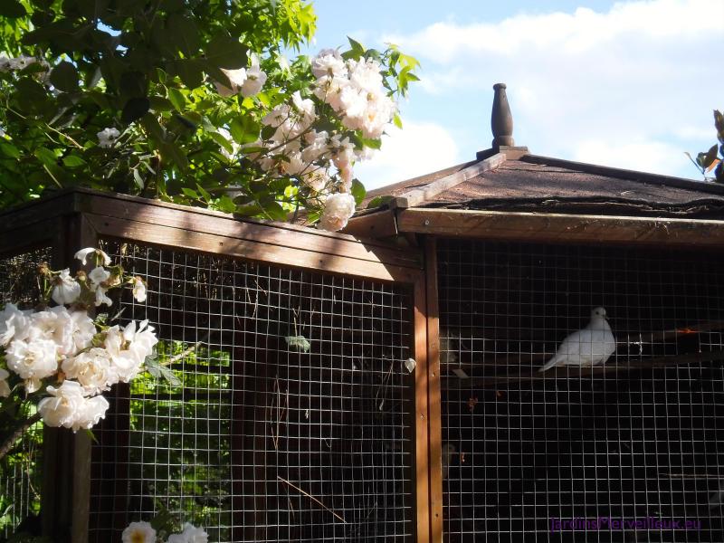 Le Jardin de Frescati,  Le Bourg, 46160 Frontenac -5