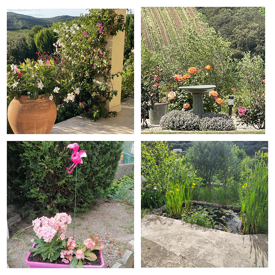 Garden 2