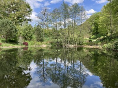 The large pond surrounded by trees