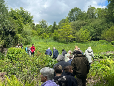 Visitors enjoying the garden opening