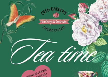 Tea Time